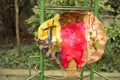 Hőlégballon