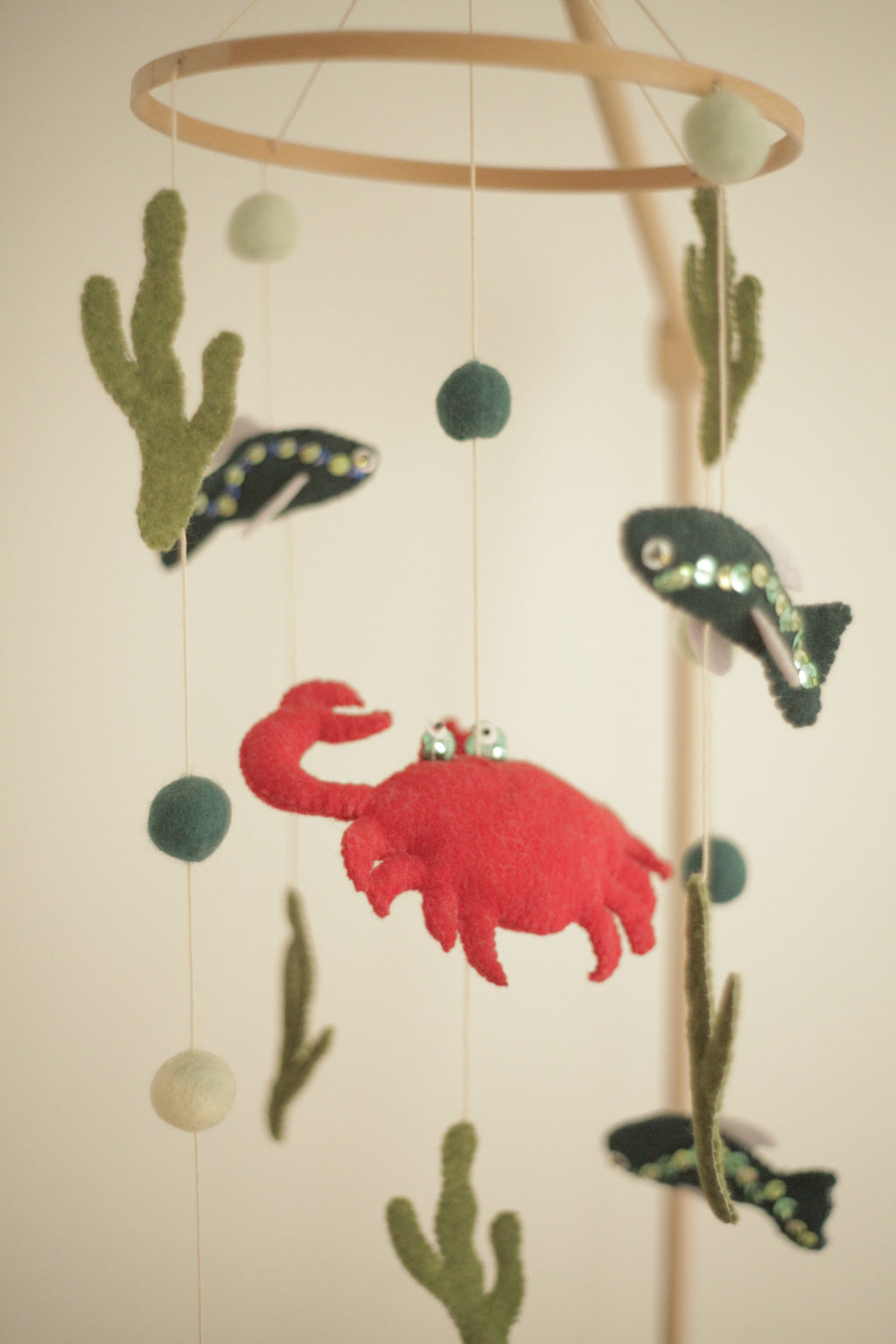 Tenger alatti csoda -  rákos kiságyforgó halakkal