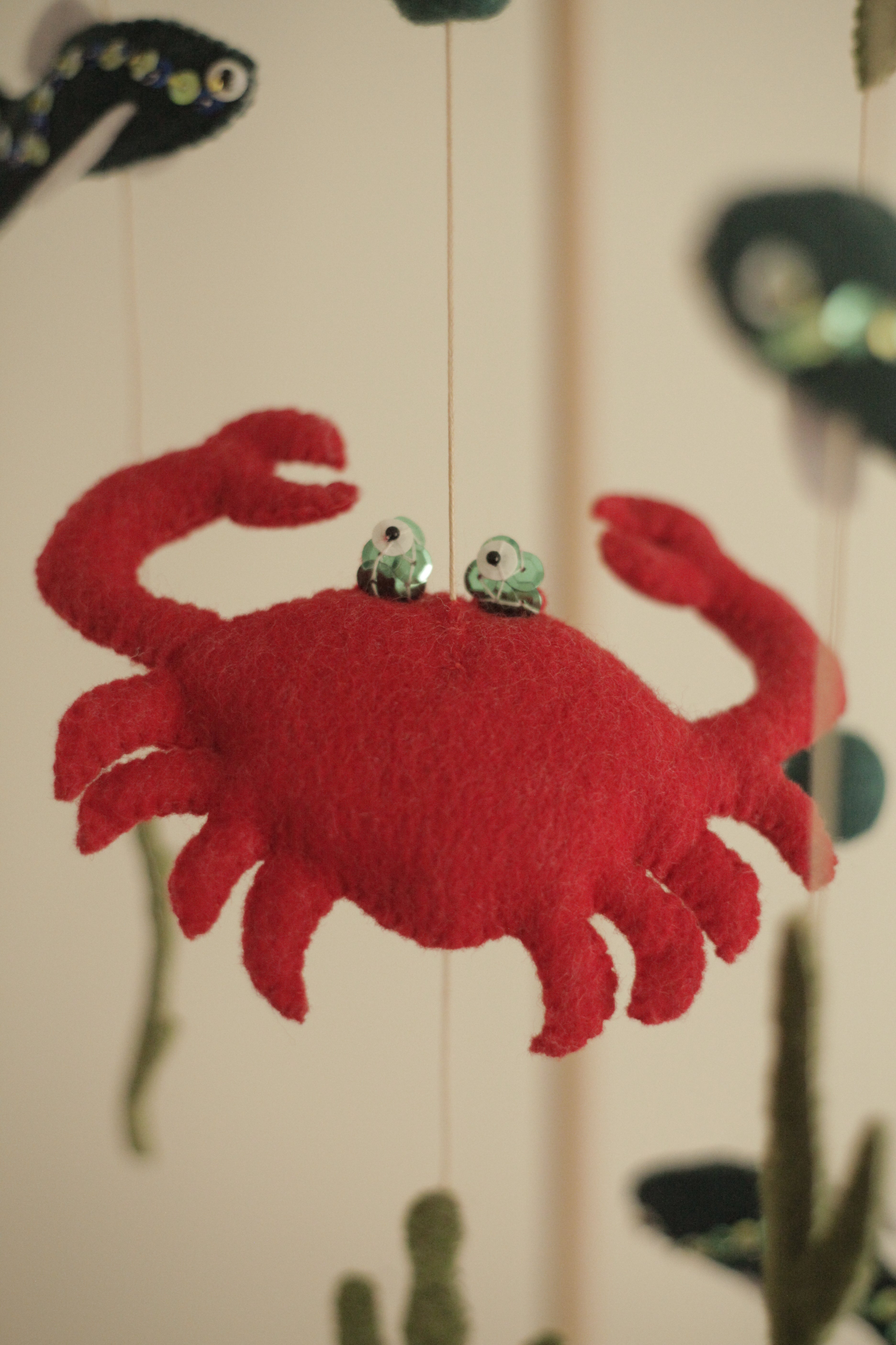 Tenger alatti csoda -  rákos kiságyforgó halakkal