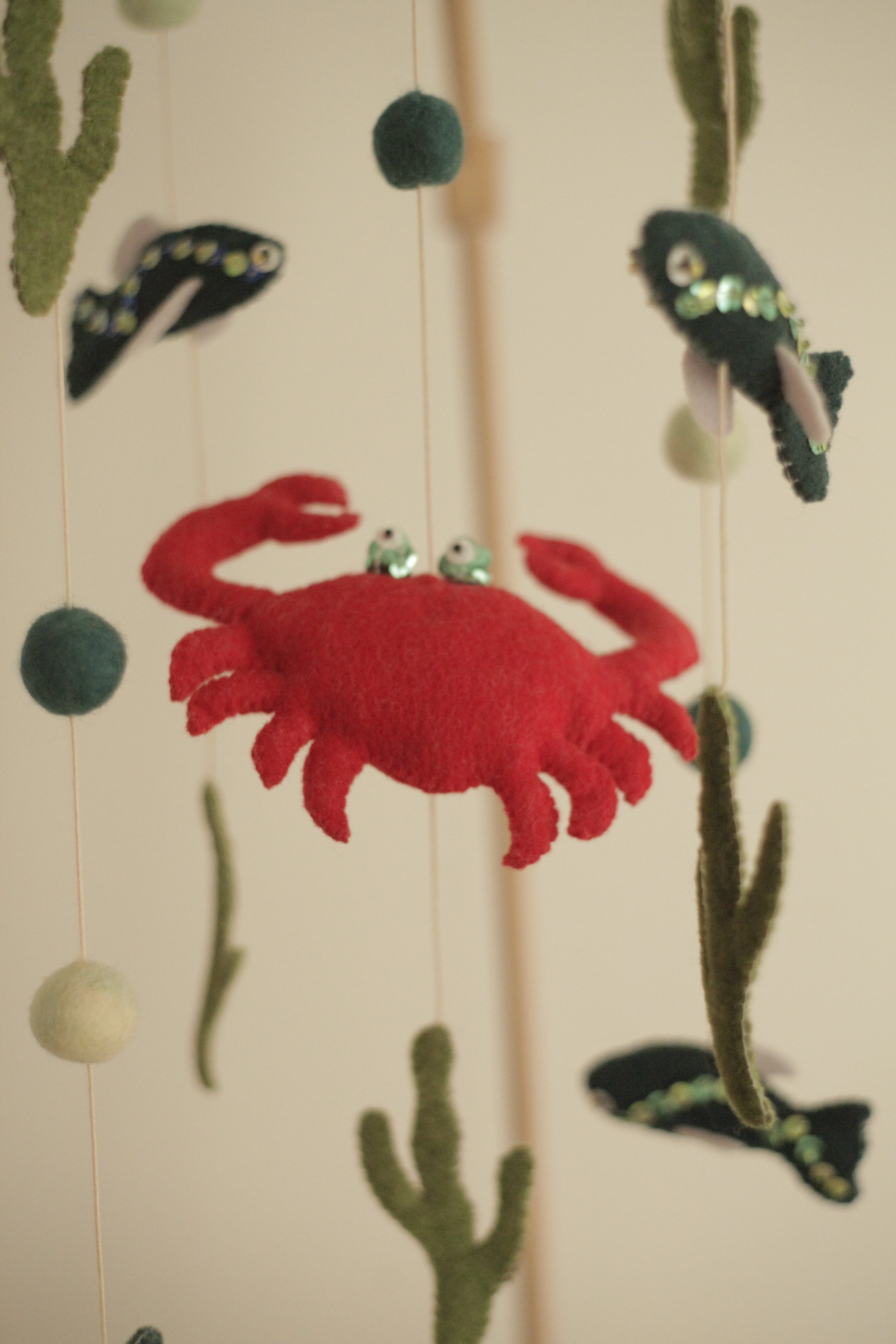 Tenger alatti csoda -  rákos kiságyforgó halakkal