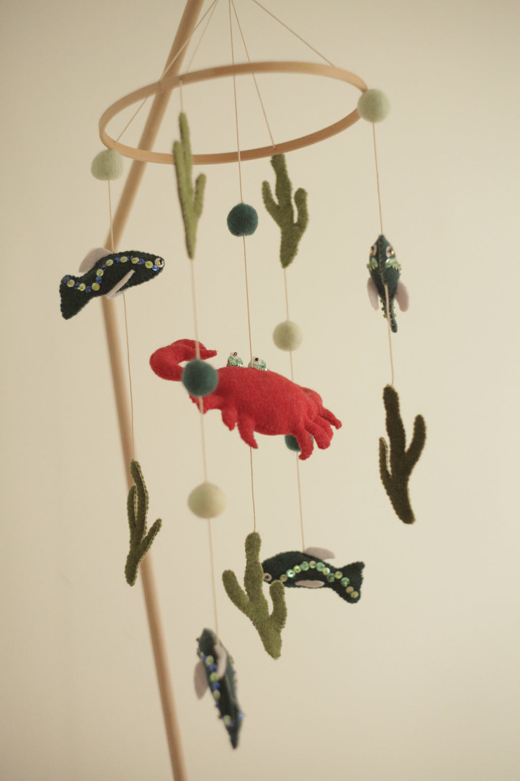 Tenger alatti csoda -  rákos kiságyforgó halakkal