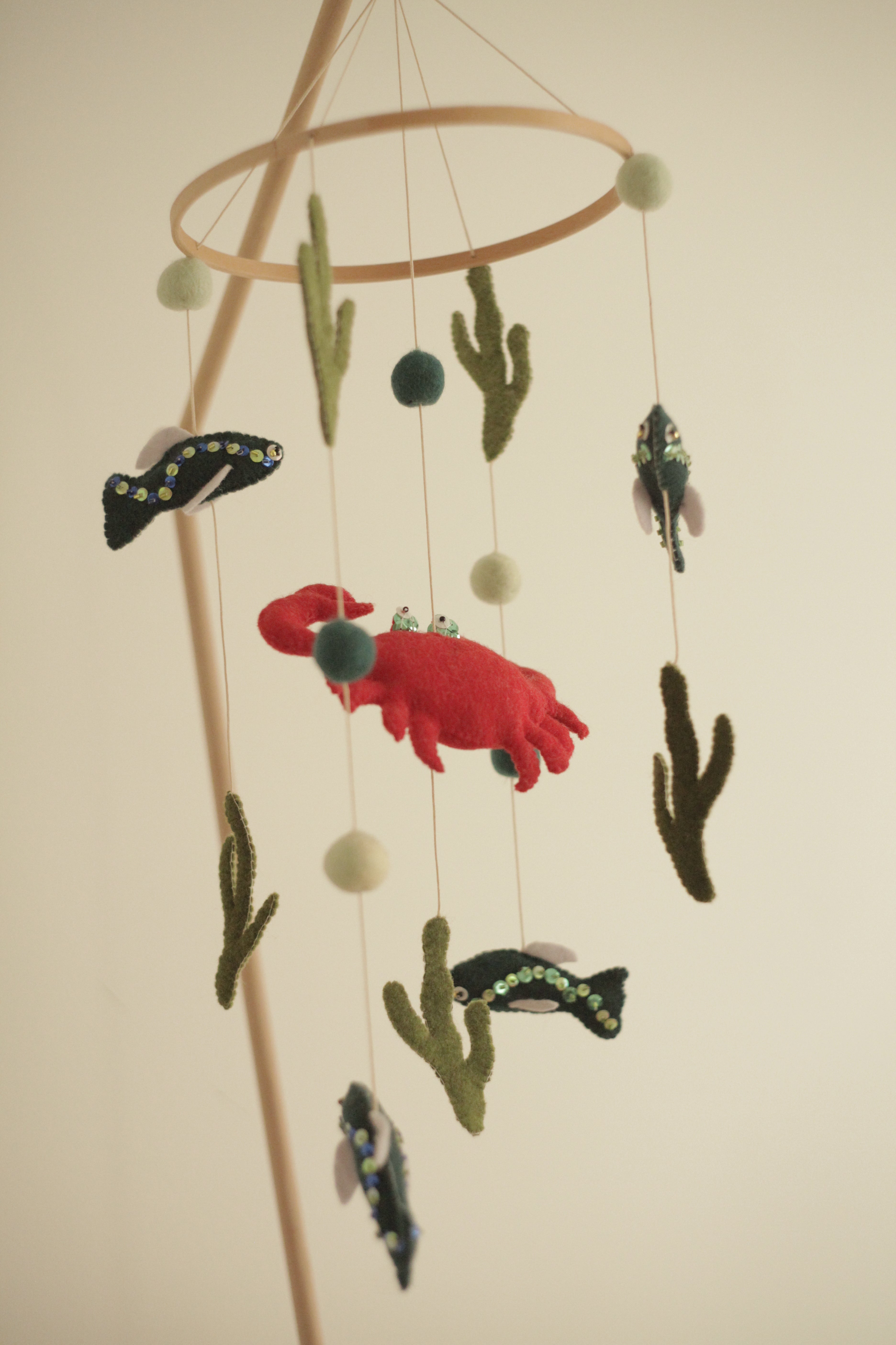 Tenger alatti csoda -  rákos kiságyforgó halakkal