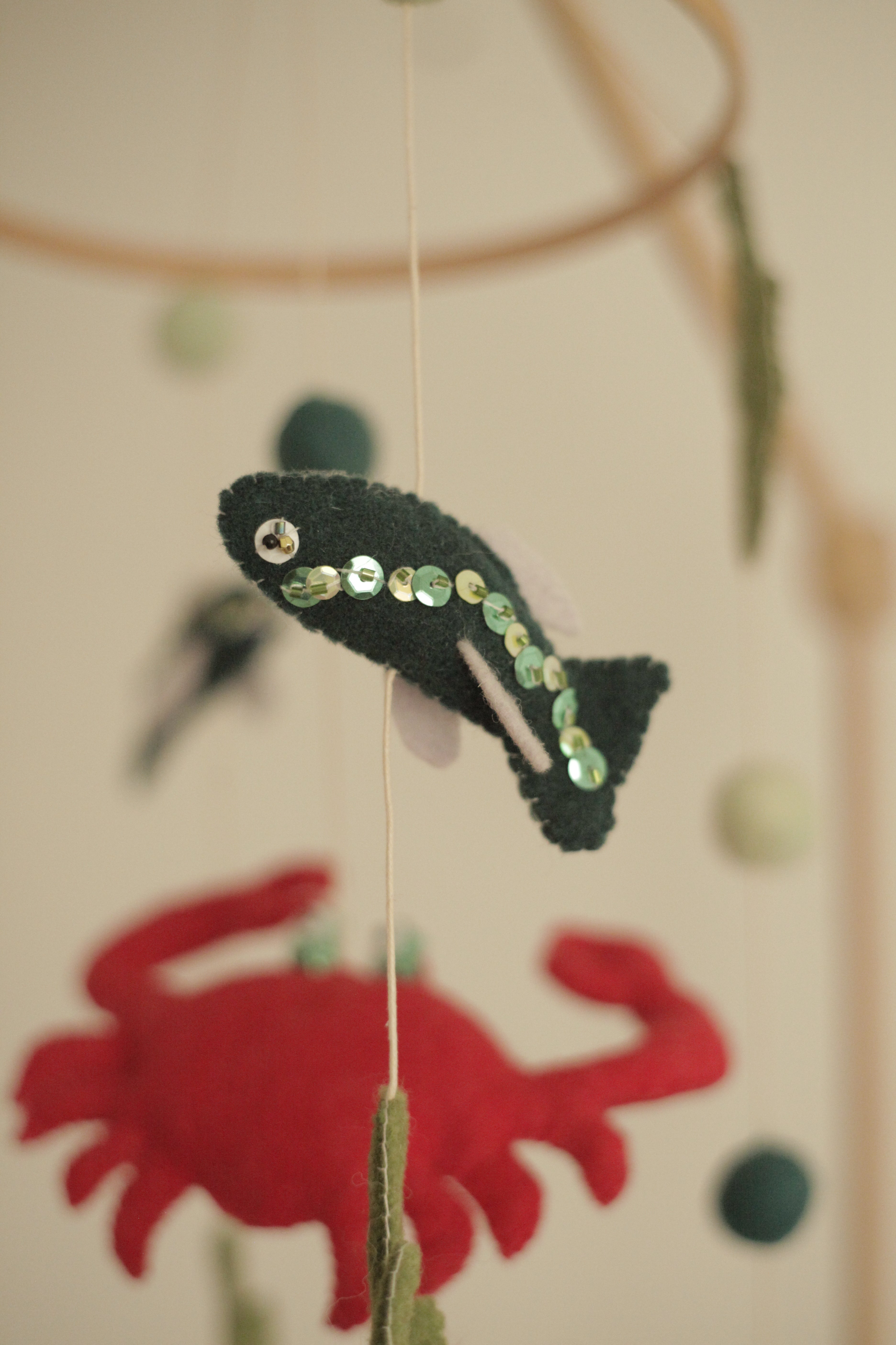 Tenger alatti csoda -  rákos kiságyforgó halakkal