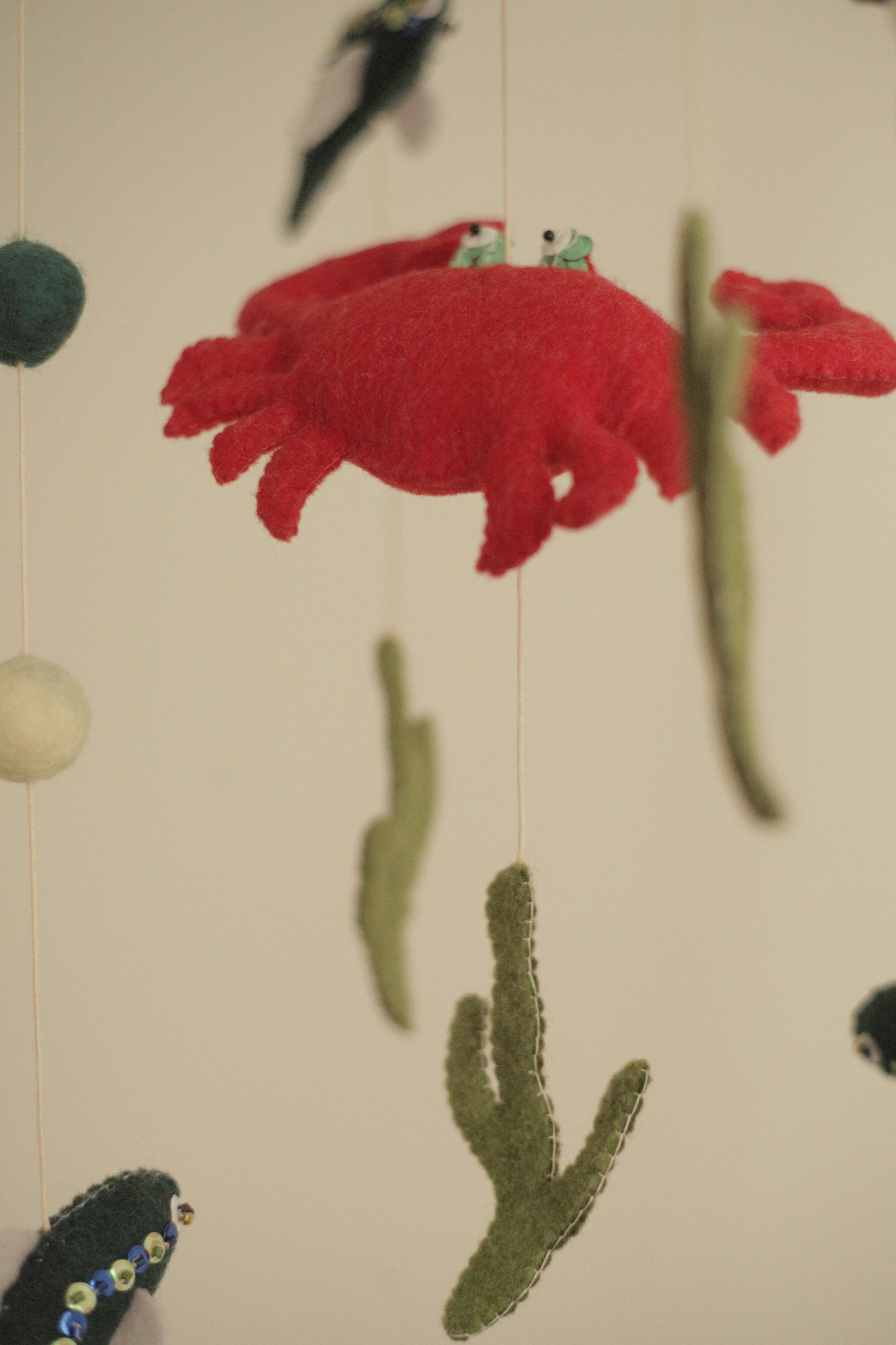 Tenger alatti csoda -  rákos kiságyforgó halakkal