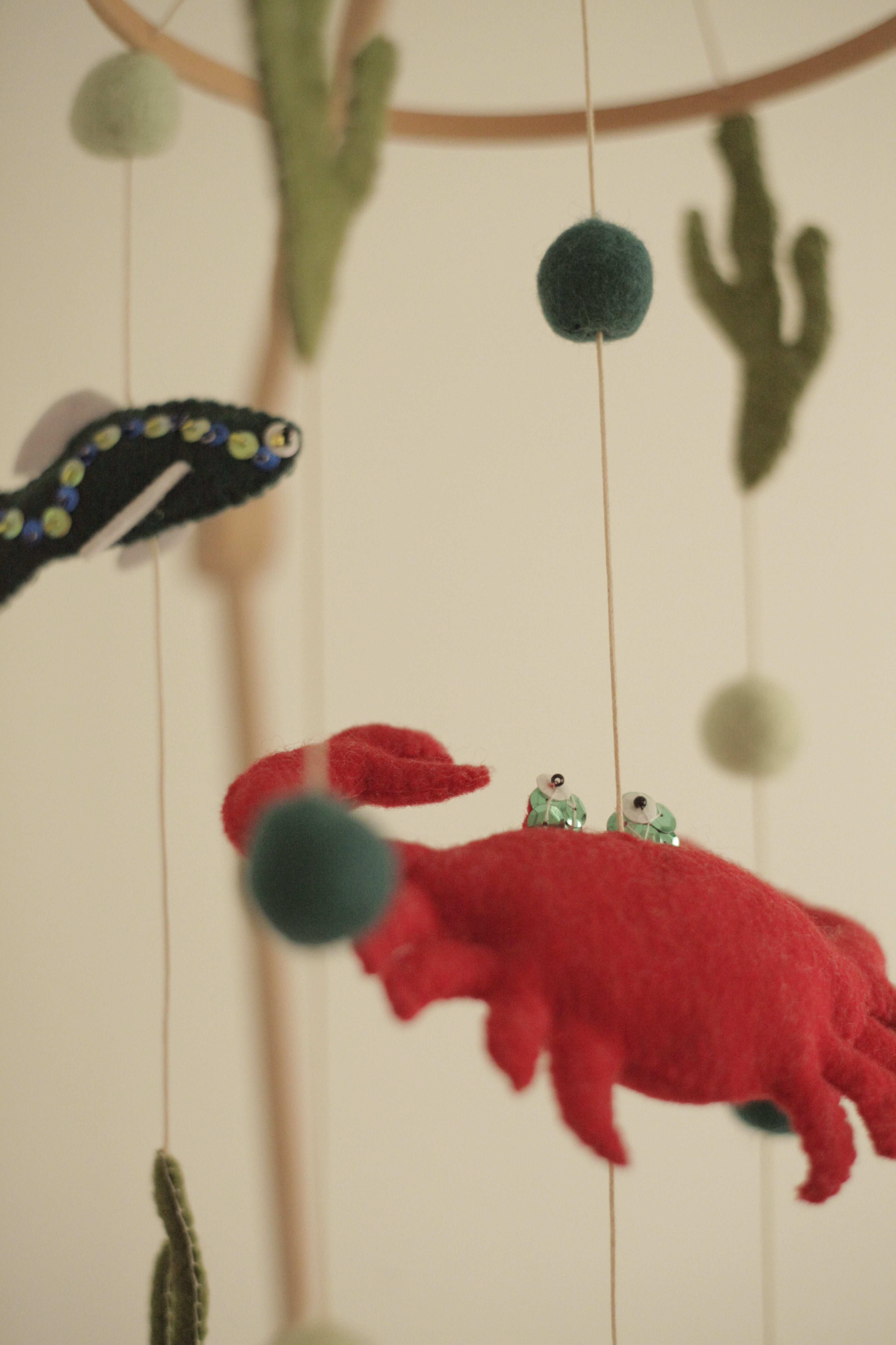 Tenger alatti csoda -  rákos kiságyforgó halakkal