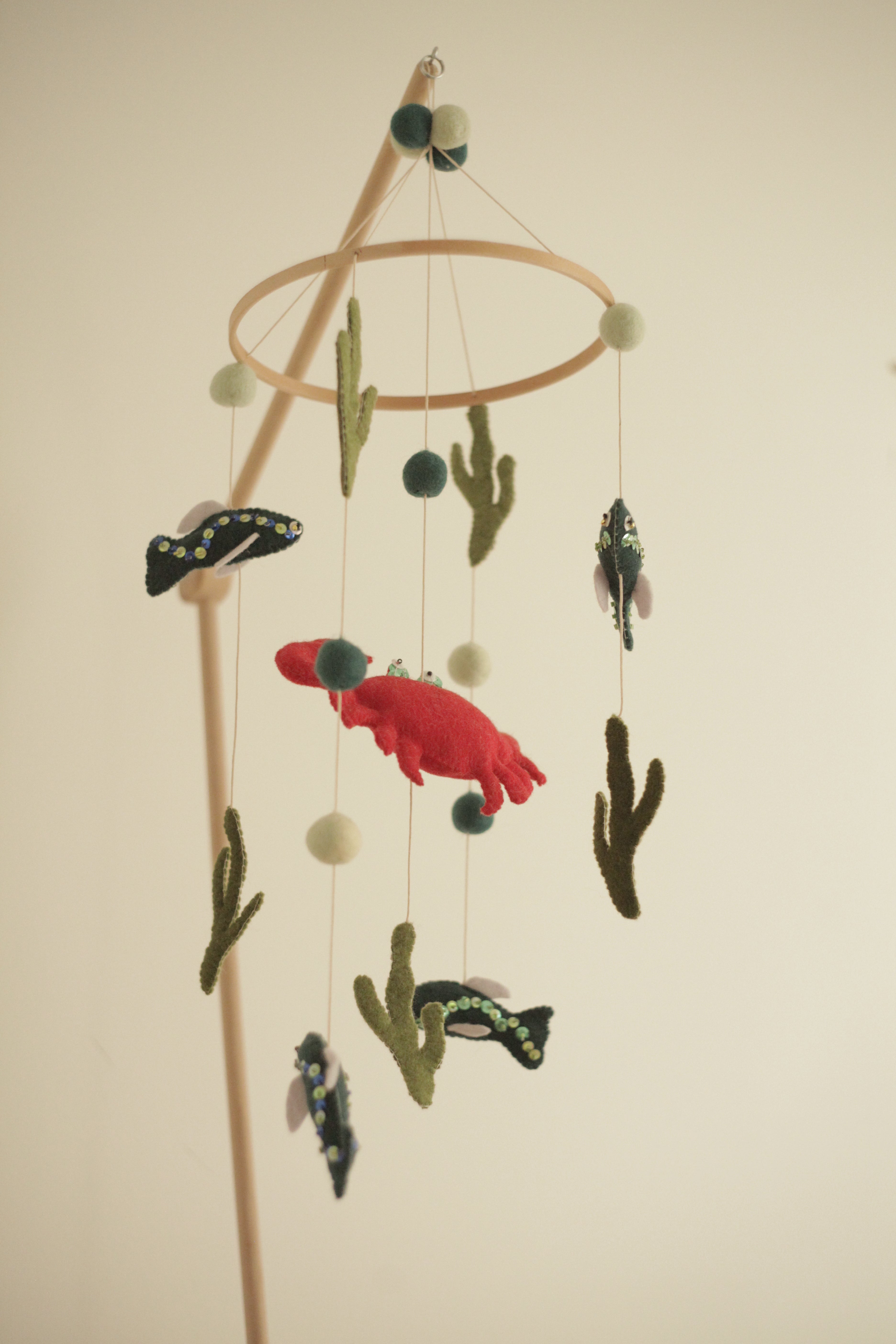 Tenger alatti csoda -  rákos kiságyforgó halakkal