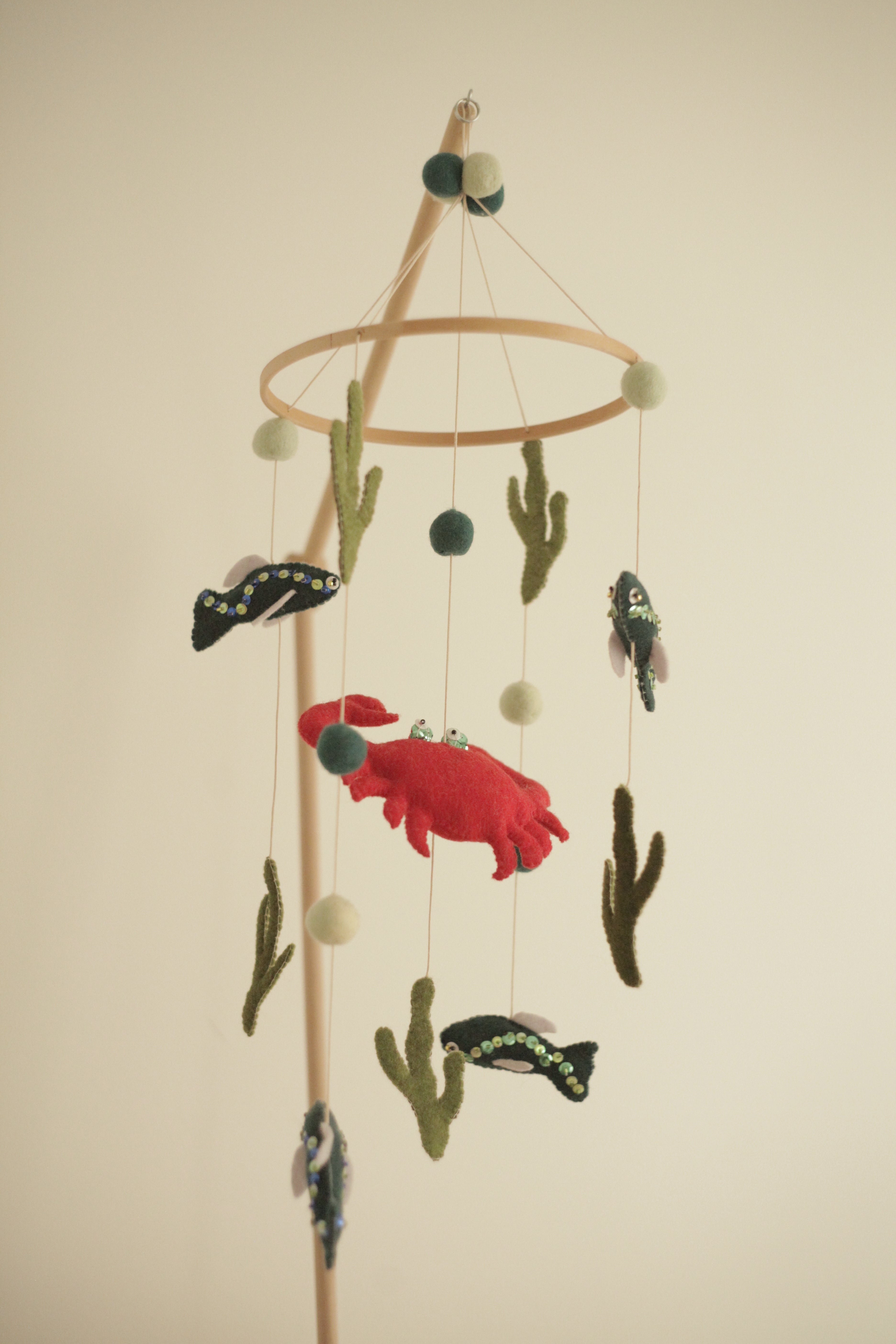 Tenger alatti csoda -  rákos kiságyforgó halakkal