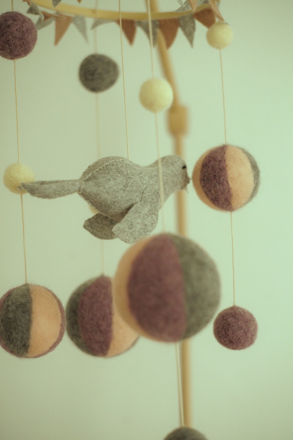 Zsonglőr Fóka Álma