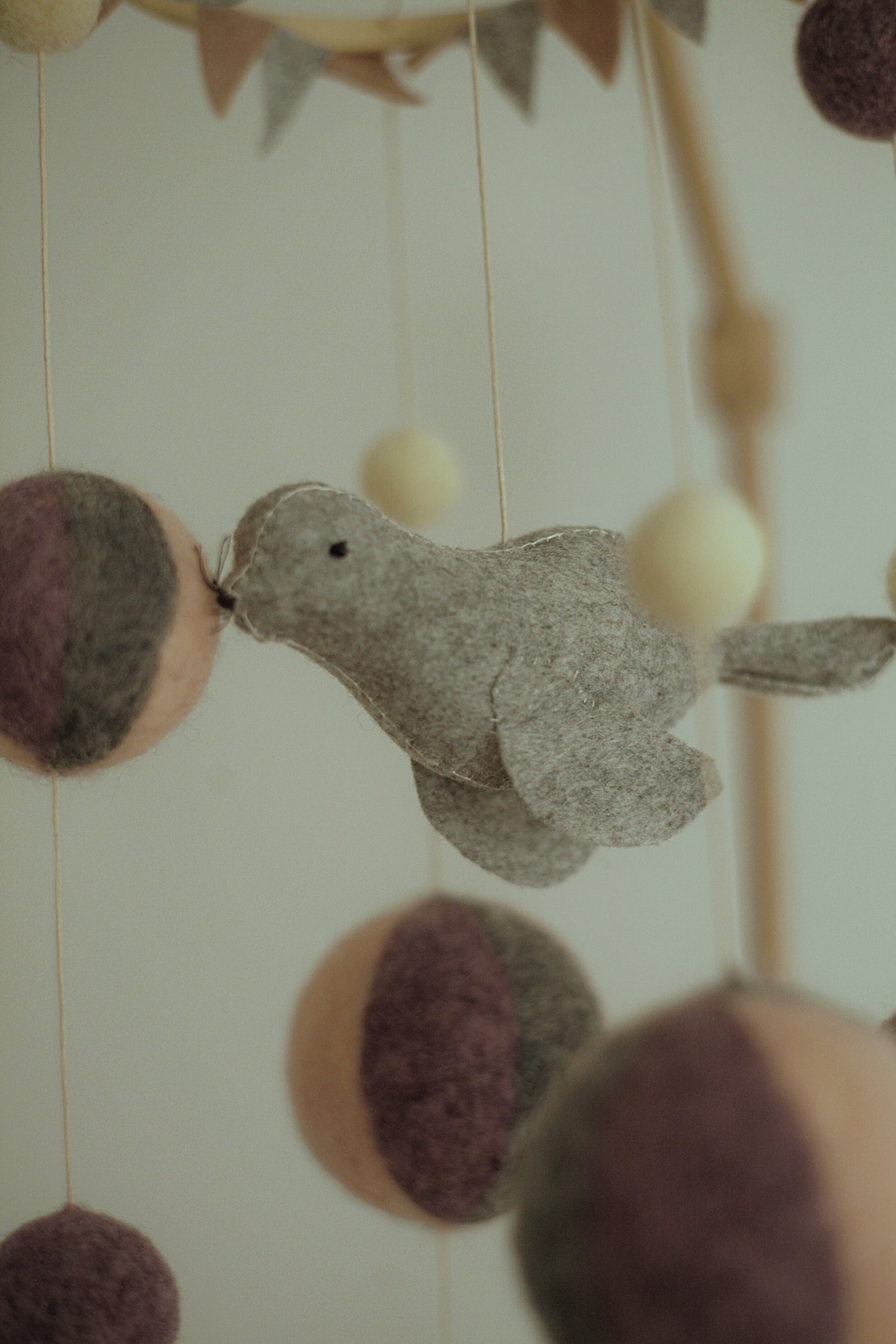 Zsonglőr Fóka Álma