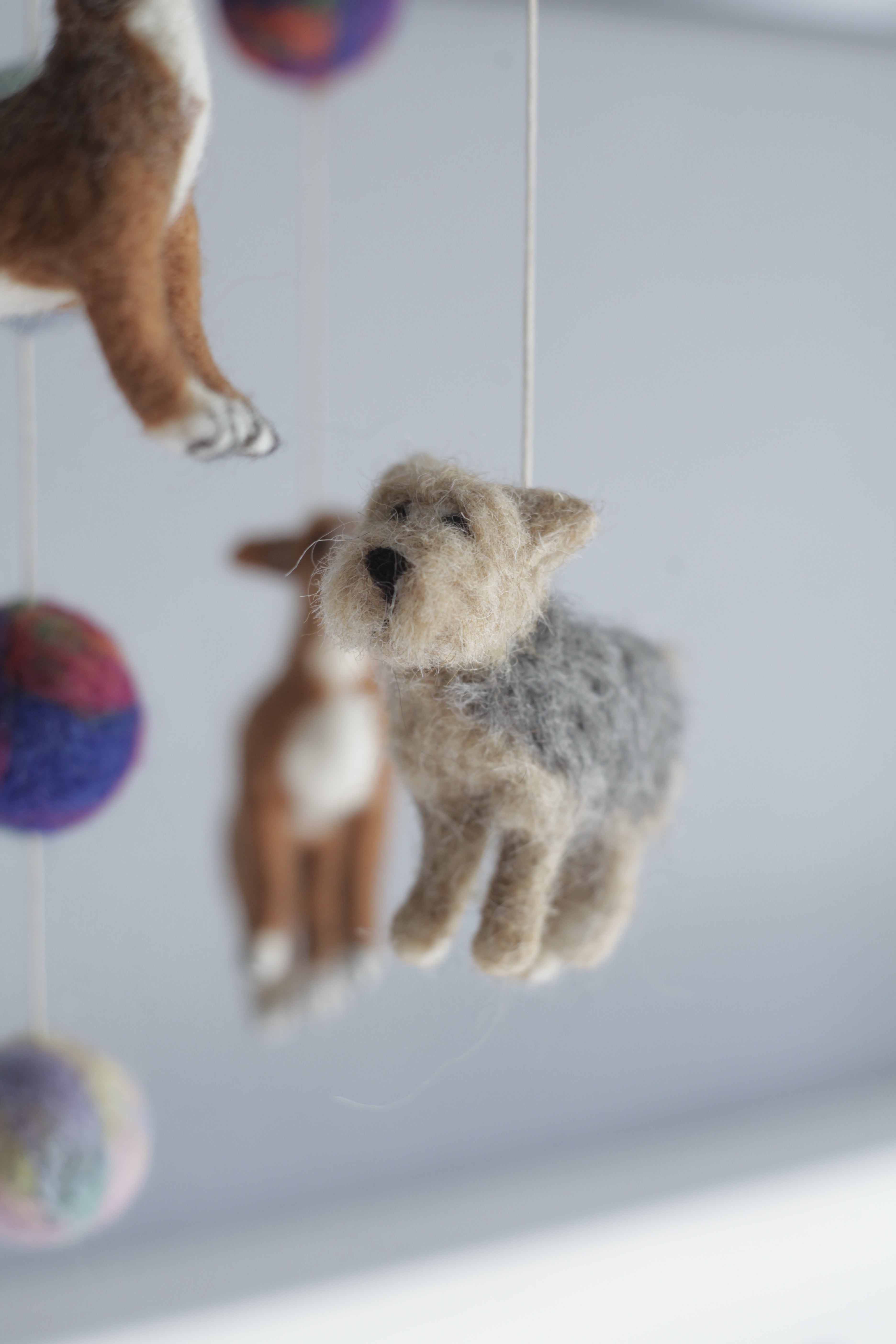 Tűnemezelt kutyuskák