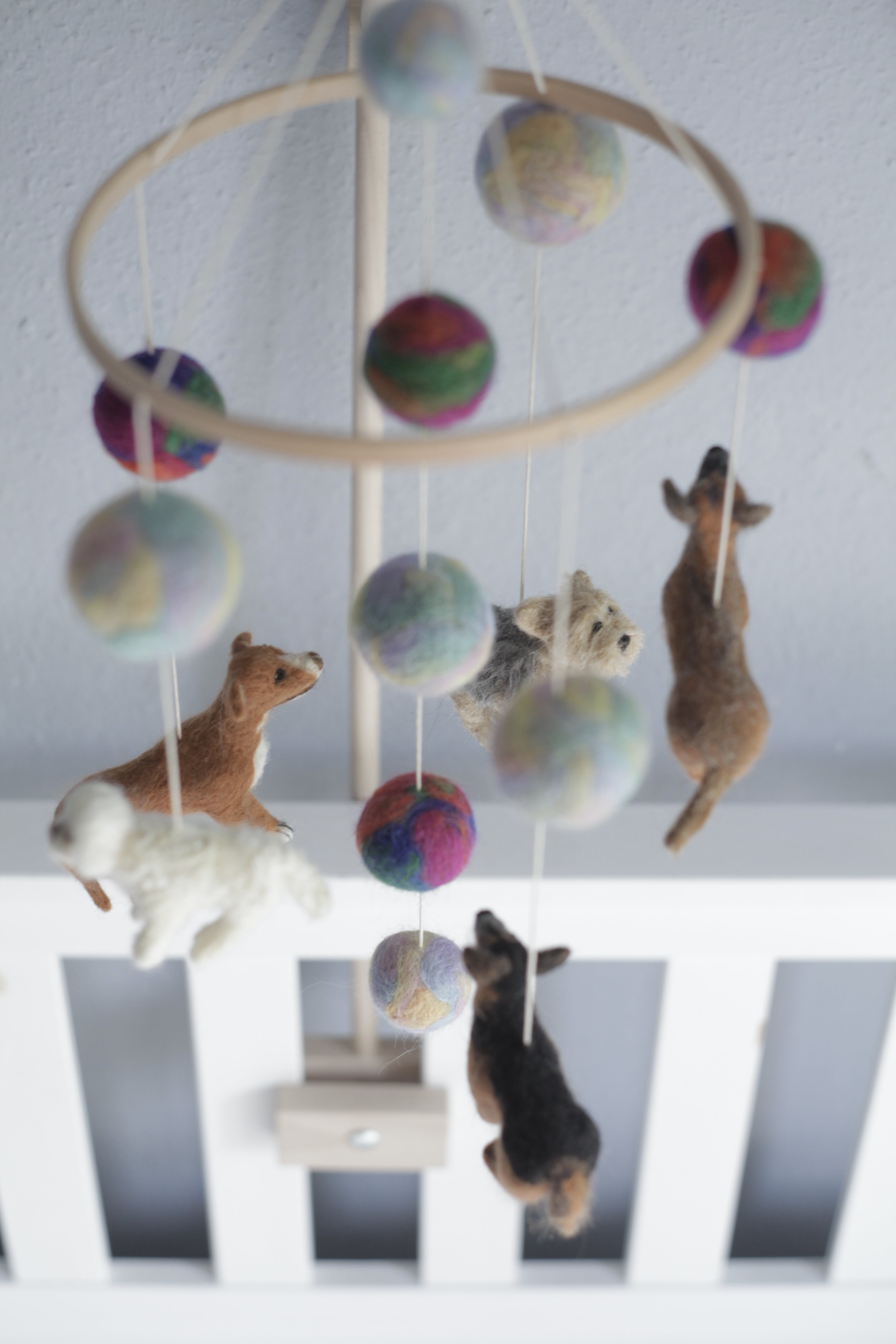 Tűnemezelt kutyuskák