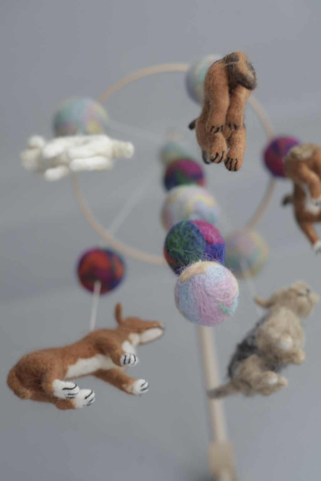 Tűnemezelt kutyuskák