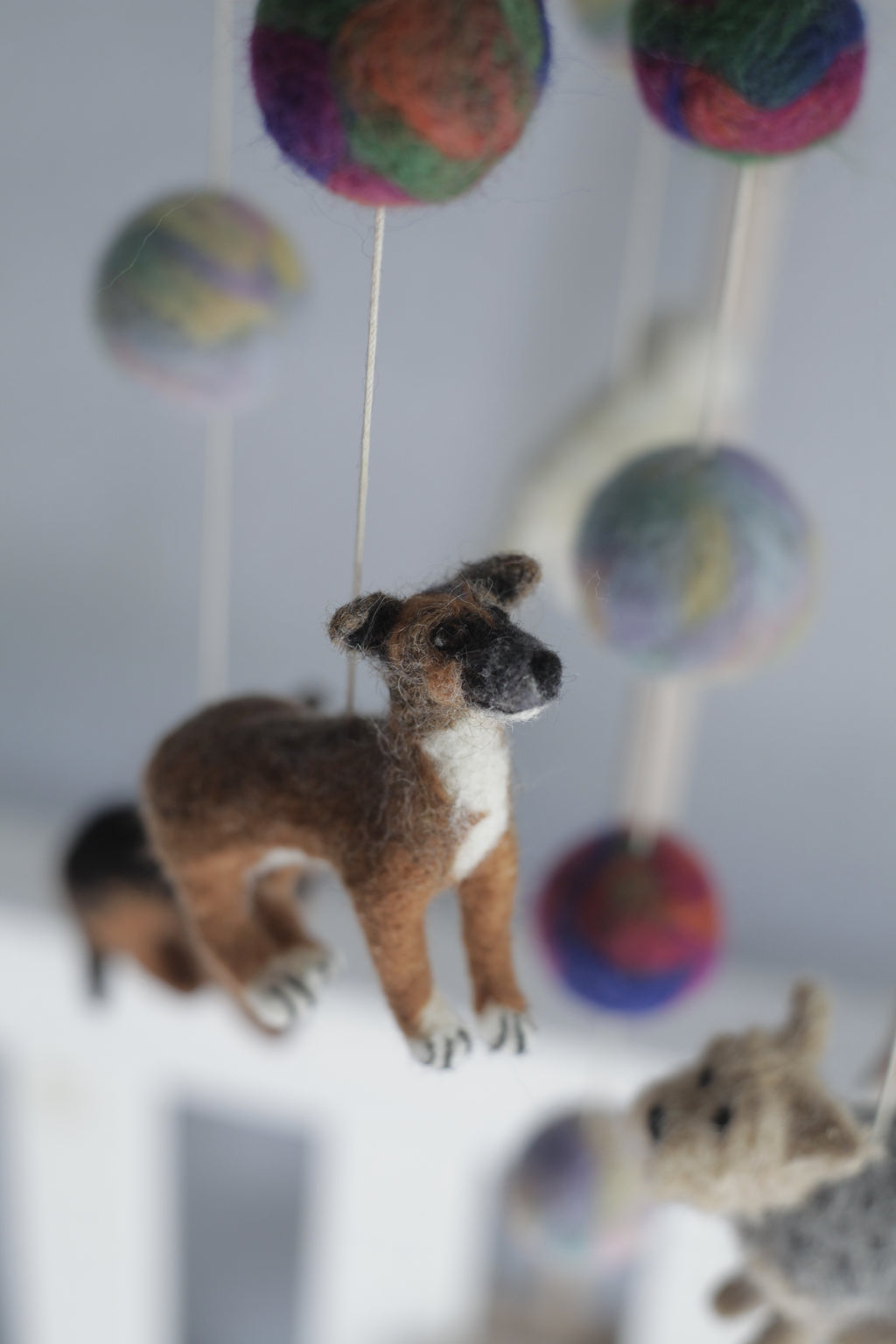 Tűnemezelt kutyuskák