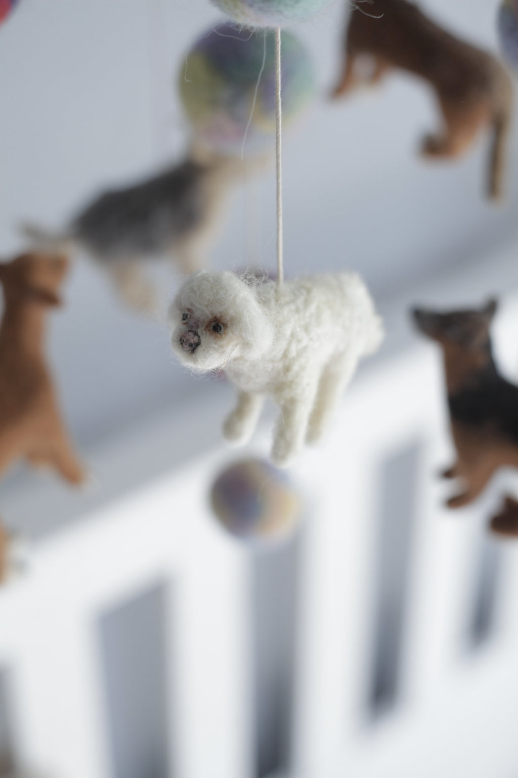 Tűnemezelt kutyuskák