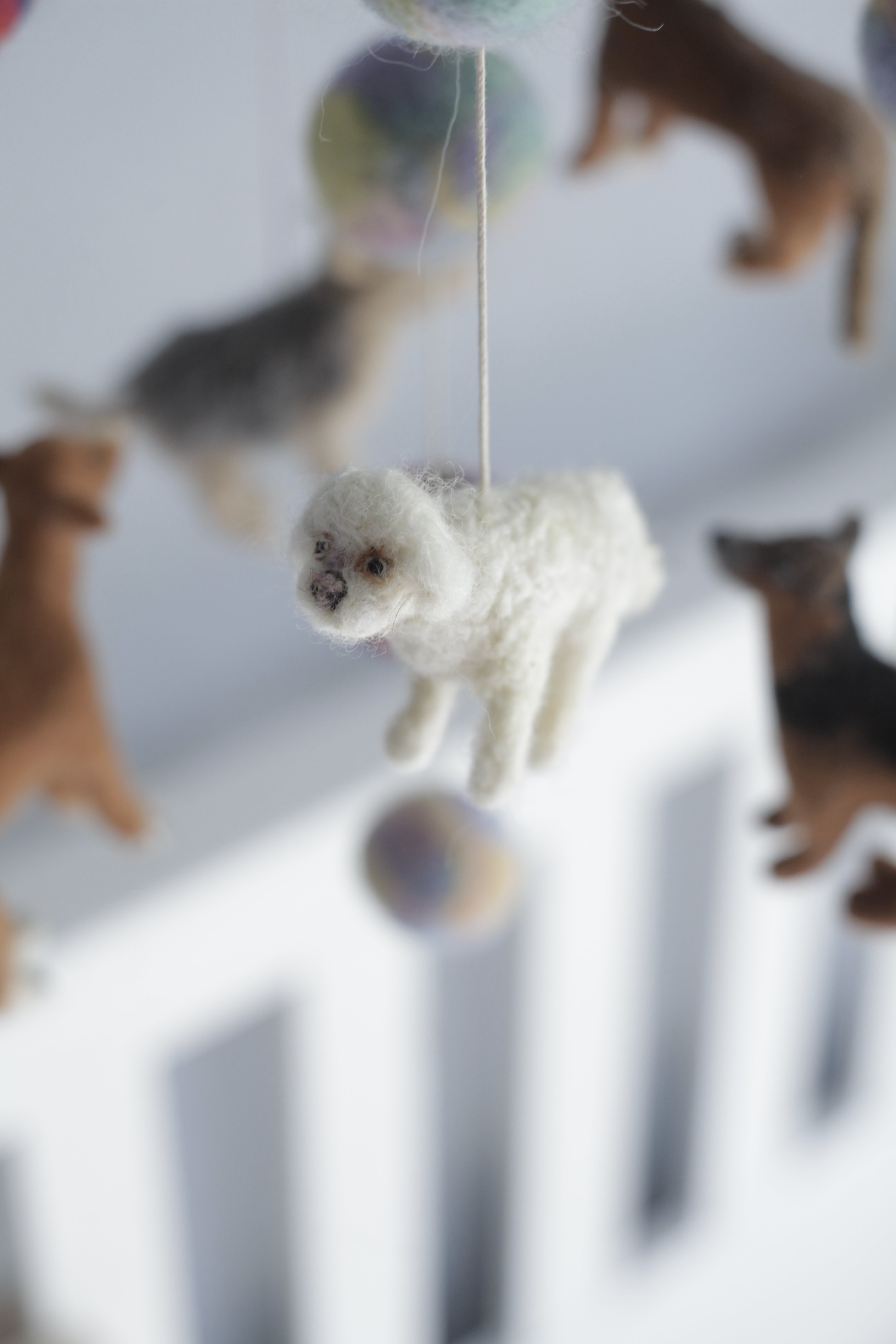 Tűnemezelt kutyuskák