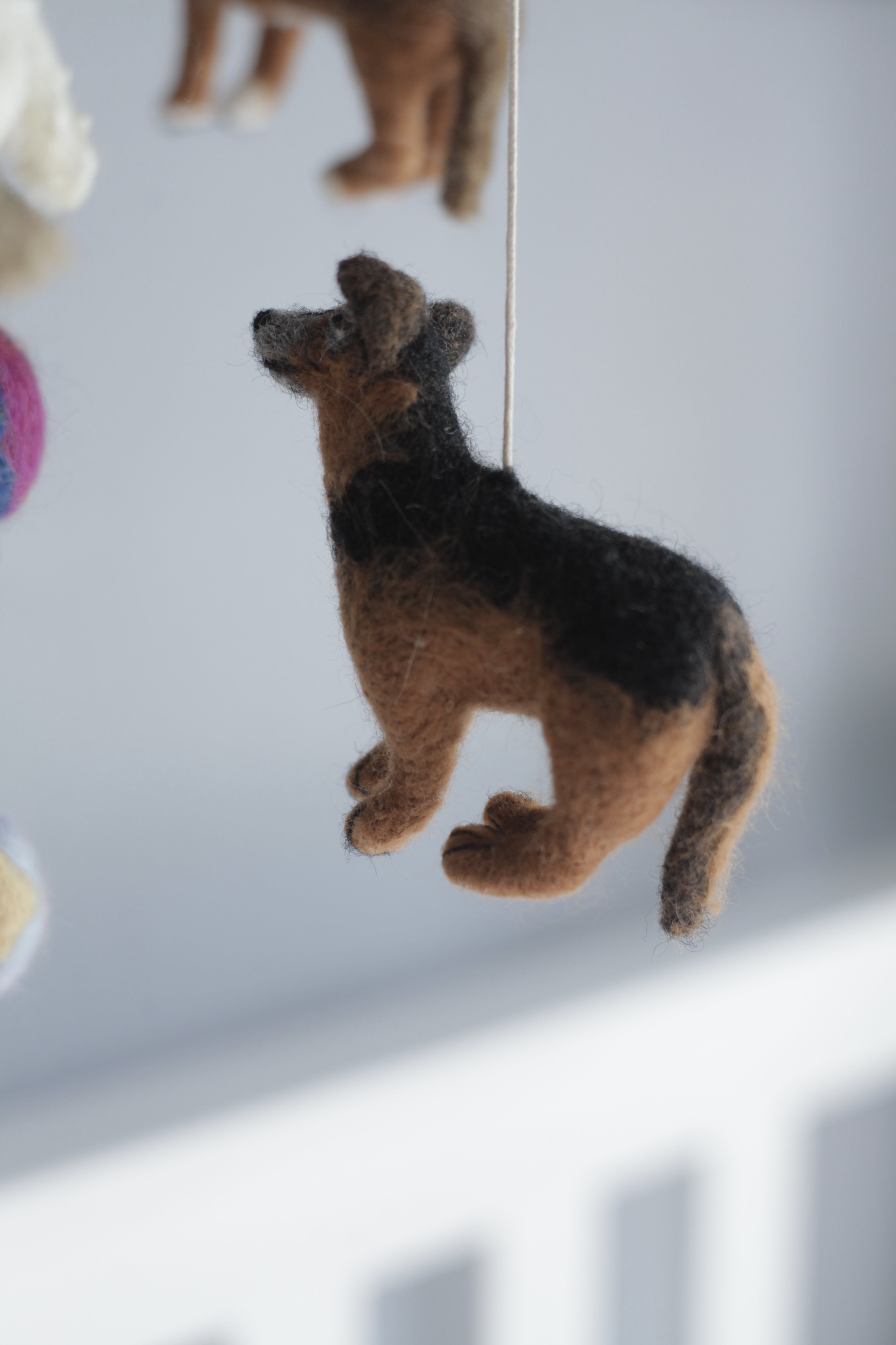 Tűnemezelt kutyuskák