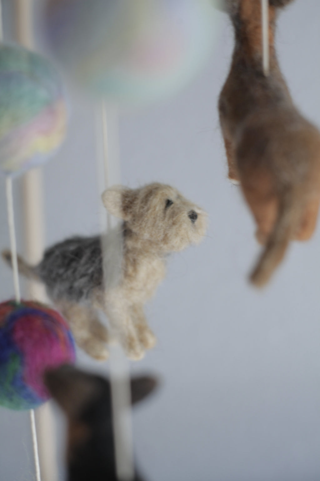 Tűnemezelt kutyuskák