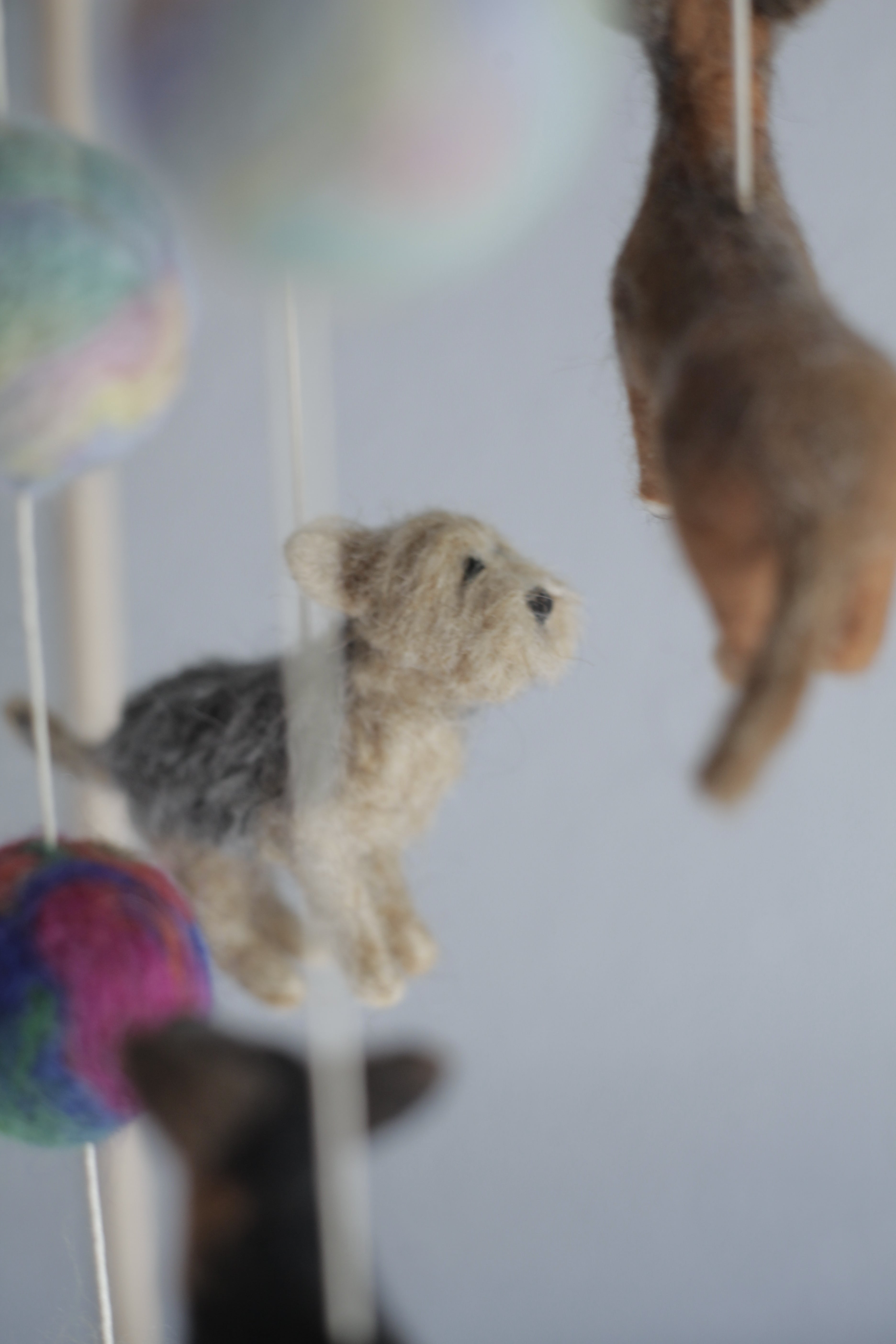 Tűnemezelt kutyuskák